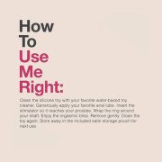 SIMPLI Prostate Plug with Penis Ring 01